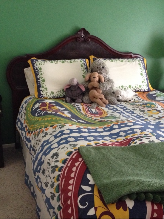Anthropologie Multicolor Queen Duvet, Shams, Bedskirt and Matching Throw! - Picture 2 of 4